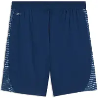 Puma Individualfinal Shorts Bleu XL Homme