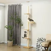 SUGIFT Arbre à chat à fixation au plafond, poteaux en sisal, bois d'ingénierie chêne + blanc crème | 250 cm | Base 40 x 40 cm | Système anti-basculement