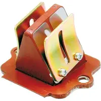 RMS Beauty Gilera Piaggio 50cc 100560110 Rad Valve Orange