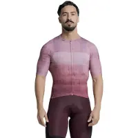 Etxeondo Alai Short Sleeve Jersey Violet XL Homme