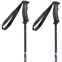 Gabel R Carbon Junior Poles Noir 100 cm Garçon