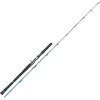 Xzoga Lionking Ks Spinning Rod Argenté 1.91 m / 300 g