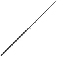 Captain James Sea Master Trolling Rod Argenté 1.83 m / 30-60 Lbs