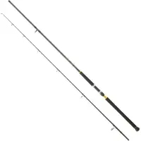 Daiwa Legalis Shore Jigging Rod Argenté 2.74 m / 28-84 g