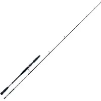 Jatsui Abstract Spinning Rod Argenté 2.20 m / 40-80 g