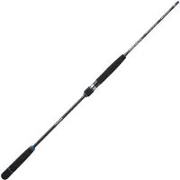 Sakura Ryokan Sw Spinning Rod Argenté 1.85 m / 60 g