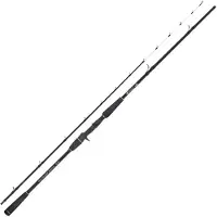 Captain James Sea Master Bottom Jigging Rod Argenté 2.10 m / 80-180 g