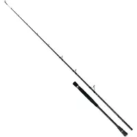 Colmic Naxos Casting Jigging Rod Argenté 2.03 m / 300 g