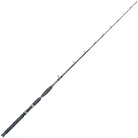 Falcon Blue Fighter Coastal Trolling Rod Argenté 1.83 m / 20 Lbs