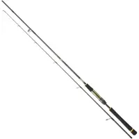 Daiwa Crosscast Versatile Ii Jigging Rod Argenté 2.44 m / 10-35 g