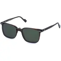 Sting Ust590-53geqp 53x18x145 Mm Reading Glasses Marron Homme