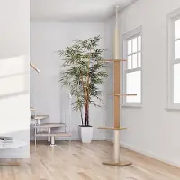 SUGIFT Arbre à chat Kratzbaum, réglable en hauteur jusqu'au plafond, arbre d'escalade pour chats, en peluche, couleur kaki
