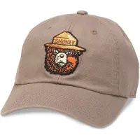 American Needle Ballpark Smokey The Cap Marron