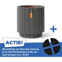 Capi Europe Pot de fleurs CAPI EUROPE Groove NL 36 x 38 cm anthracite