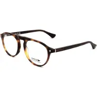 Web Lunettes de Vue - - WE5429 - Havana - Acétate - Homme