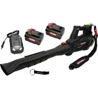 Parkside PERFORMANCE Souffleur de feuilles à turbine sans fil 40 V / PPTLBA 40 / avec 2 batteries (4 Ah) et chargeur (4,5 A)