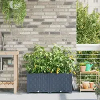 Prolenta Maison Exclusive - Jardinière d'extérieur, lot de 2, gris, 80 x 40 x 37,5 cm, PP
