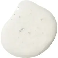 Phytodess Shampooing au Thé Blanc - Soin Cheveux Balayés ou Colorés 250ml - Éclat, Protection et Préservation de la Couleur
