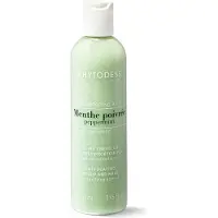 Phytodess Shampooing à la Menthe Poivrée - Soin Cuir Chevelu et Cheveux Étouffés 250ml - Action Détoxifiante, Fraîcheur et Purification