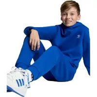 Adidas Pantalon 'Trefoil Essentials' bleu foncé / blanc