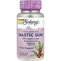 Solaray Mastic Gum 500mg Capsules 45 Units Blanc,Rose