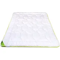 Sonstige Verlage Couverture antiallergique 135x200 Bambou toute l'année 1000g blanc AMZ