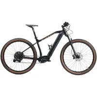 Sants E-sm 3.0 Pro Steps Ep801 29´´ U8000gs Cues 11s Mtb Electric Bike Bleu XL / 630Wh