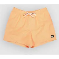Quiksilver Maillots de bain EVERYDAY DELUXE VOLLEY 15 hommes - Jaune - EU S