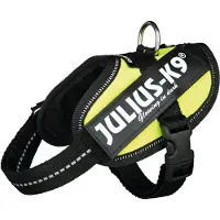 Julius-K9 IDC Powergeschirr Baby 2/Mini-Mini/Mini 33–45 cm/18 mm vert fluo