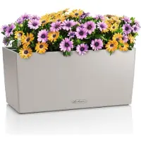 Lechuza BALCONERA Color 40 (40 x 40 x 19 cm)
