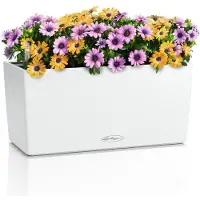 Lechuza BALCONERA Color 40 (40 x 19 x 19 cm)
