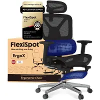 FlexiSpot ErgoX : chaise de bureau ergonomique avec repose-pieds, accoudoirs 3D et appui-tête, dossier réglable en 5D, capacité de charge de 136 kg, noir