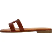 The Divine Factory Mule camel