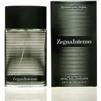 Ermenegildo Zegna Intenso eau de toilette pour homme 100 ml