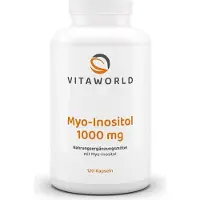 Vitaworld Myo-inositol 1000 mg | 120 gélules | forte concentration de 1000 mg par gélule | végétalien