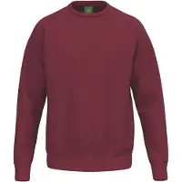 Erima Sweatshirt TS