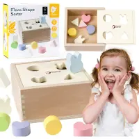 Classic World - Trieur de formes en bois pour enfants 10 el.