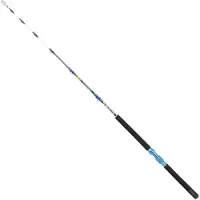 Kali Canne à pêche à la traîne Saga Multicolore 1,70 m / 30 Lbs Multicolore 1,70 m