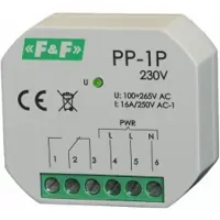 F&F PP-1P