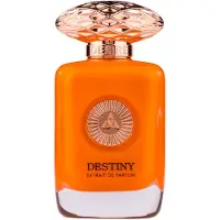 Auraa Desire Destiny 100ml Perfume for Unisex by