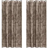 vidaXL Rideaux en velours avec tringles 2 pièces Cappuccino 260 x 140 cm Velours