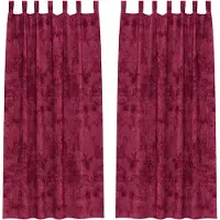 vidaXL Rideaux de velours avec rideaux 2 pcs rouge vin 245 x 140 cm velours