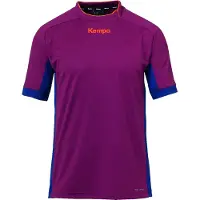 Puma T-Shirt fonctionnel rouge / rouge foncé / blanc
