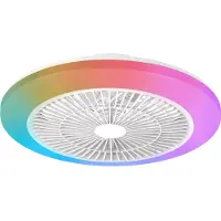 Philips Amigo 20w+40w Ceiling Fan Argenté 48 cm / EU Plug 220V