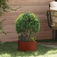 Prolenta Maison Exclusive - Anneau de plantes en acier rouillé, 30 x 30 x 20 cm, résistant aux intempéries