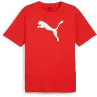 Puma T-Shirt fonctionnel 'TeamRISE' rouge / blanc