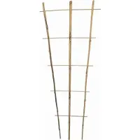 Siena Garden Pflanzenhalter (140 cm, 50 cm)