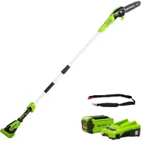 Greenworks Elagueuse sur perche 40V - 20 cm - 1 batterie 2.0 Ah - 1 chargeur - G40PSFK2