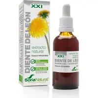 Sidroga Gesellschaft für Gesundheitsprodukte mbH Diente de León XXI Extract 50 ml Solution(S)