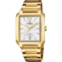 Festina Montre à affichage analogique argent